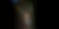 福島県で発生した郡山ナンバーの画像