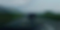 山形県で発生した新潟ナンバーの画像