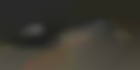 東京都で発生した八王子ナンバーの画像