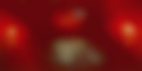 群馬県で発生した群馬ナンバーの画像