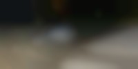 千葉県で発生した不明ナンバーの画像