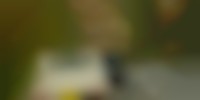 栃木県で発生した宇都宮ナンバーの画像