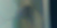 香川県で発生した香川ナンバーの画像